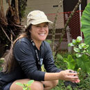 UH Hilo student organizations restore native forest garden