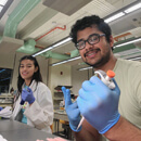 Improving Hawaiʻi’s marine biodiversity focus of undergraduate research program