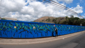 blue wall with paintings