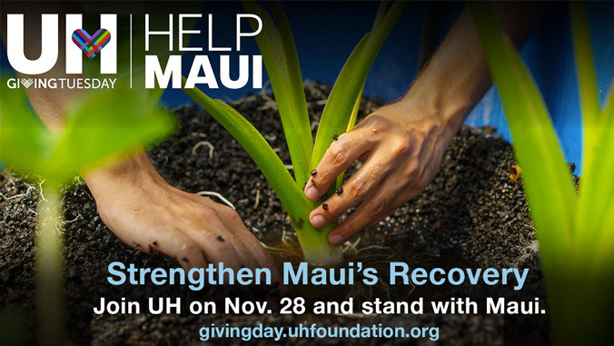 two hand planting taro, UH Help Maui Giving Tuesday graphics over photo