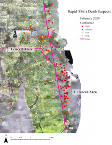 Map with suspected cases of rapid ohia death along a fence line