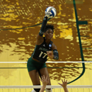 Rainbow Wahine upset bid falls short in loss to Oregon