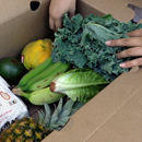 UH Maui College culinary students distribute 1,600 produce boxes, more