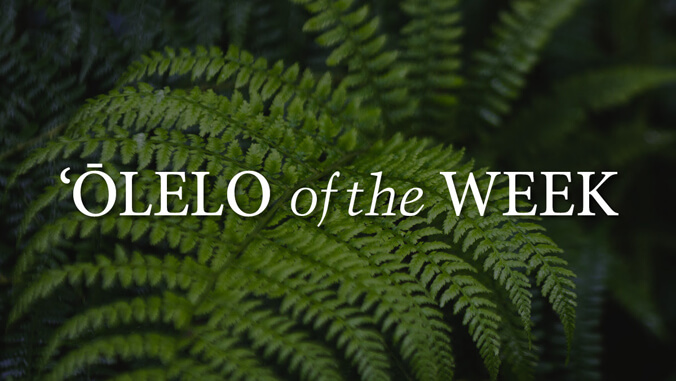Fern with the text Olelo of the Week