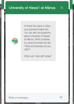 chat box with bow on the d s s website