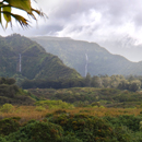 New Maui forest height research could impact water yields, fire risk, more