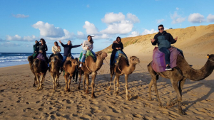 Student riding camels 