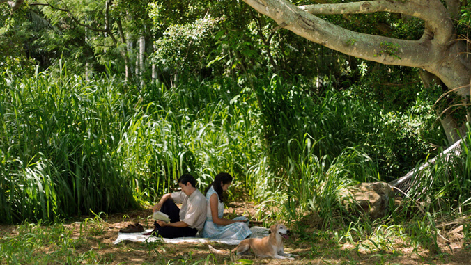 2 people sitting under a tree