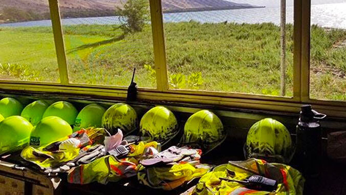 coconuts and equipment on a table