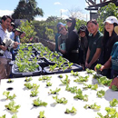 UH, DOE team up to grow farm training for students