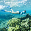 Researchers: Olympic tower construction could damage Tahiti reef ecosystem