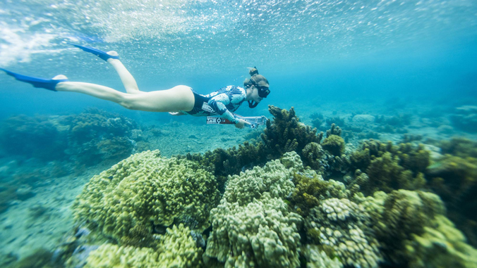 diver looking at reef