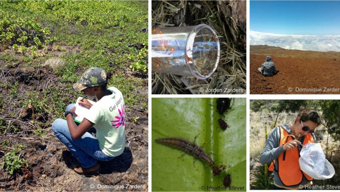 photo collage, student writing notes and  bugs