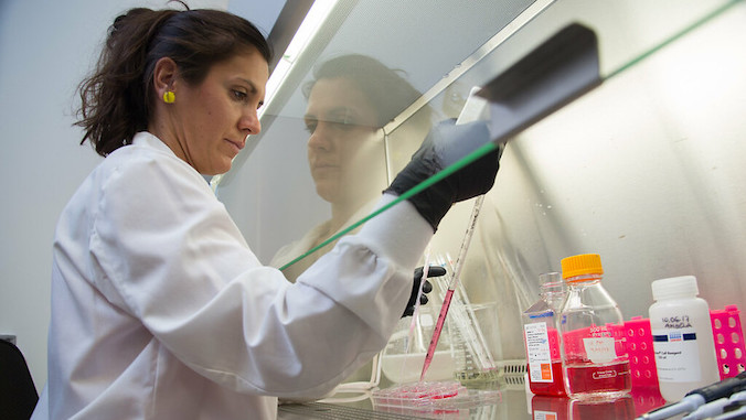 researcher working in the lab