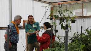 A staff member showing plants to Sentor Hirono and President Lassner.