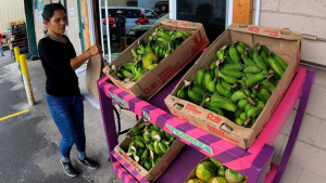 Person beside boxes of bananas and other fruits