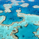 New coral disease forecasting system led by UH team