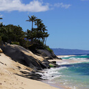 More UH experts join Gov. Green marine advisory committee
