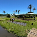 UH Sea Grant, partners awarded $68.5M to advance climate resilience