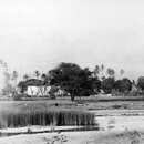 Image of the Week: Royal island