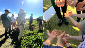 a group of people harvesting in a field, cupped hands with red dirt.