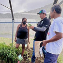 Hawaiian chili peppers extension hosts field day at Waimānalo