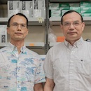UH program expands genomics education for diverse Hawaiʻi students