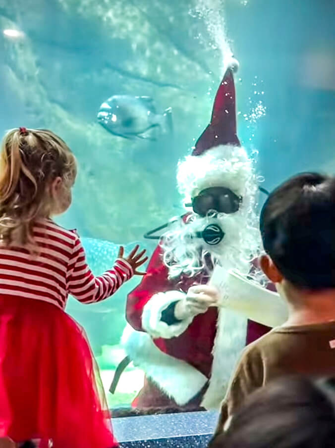 Diving Santa and kids