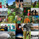 UH News Images of the Week 2024