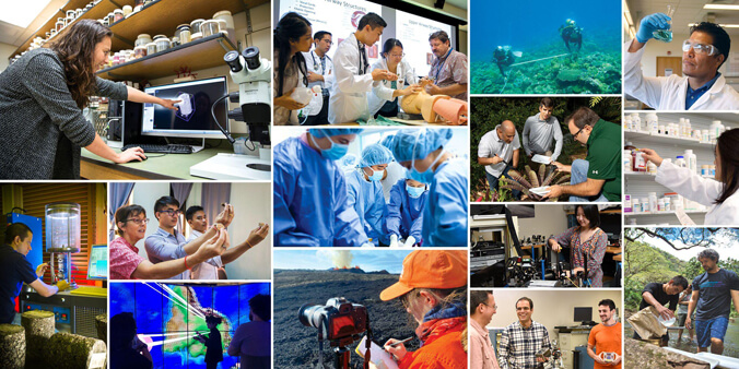 Collage of grad student research