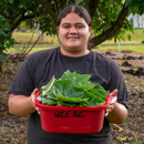 Growing a greener future: Hawaiʻi CC teaches Korean natural farming