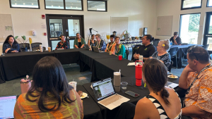 People sitting around a conference table