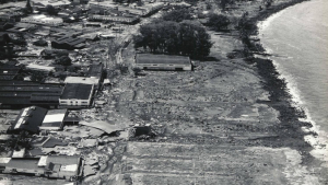 historical photo showing cleared land from tsunami
