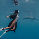 Image of the Week: Dolphin