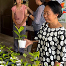 UH Hilo Agriculture Fair, symposium plant big ideas