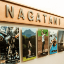 Record-breaking academic performance set by UH Mānoa student-athletes