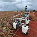 Pineapple powerhouse: Students’ high-flying farm tech wins international award