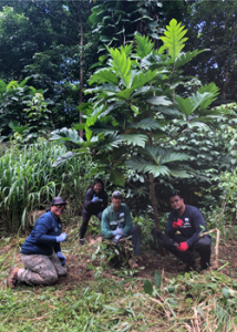 Teachers under an ulu tree