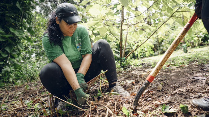 person performing restoration work in the forest