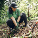 Lau Kupu Day brings conservation volunteers to Lyon Arboretum