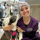 Learn about a high-demand veterinary career: free Windward CC info sessions