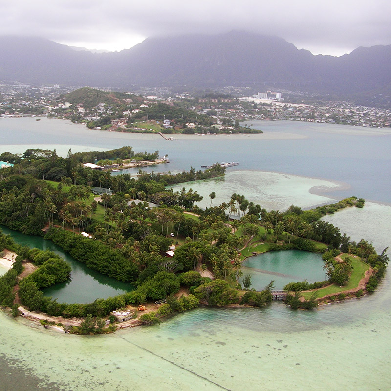 aerial photo of Coconut Island