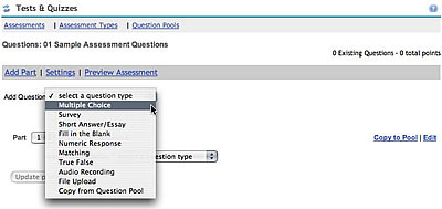 Laulima Samigo Add Question to Assessment, Choose Type