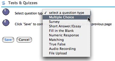 Laulima Samigo Add to Question Pool, Choose Question Type