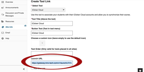 pasting link into the launch url text box