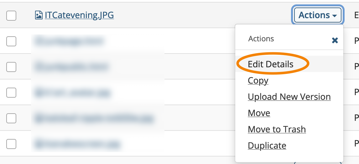 Click Actions dropdown, Choose Edit Details