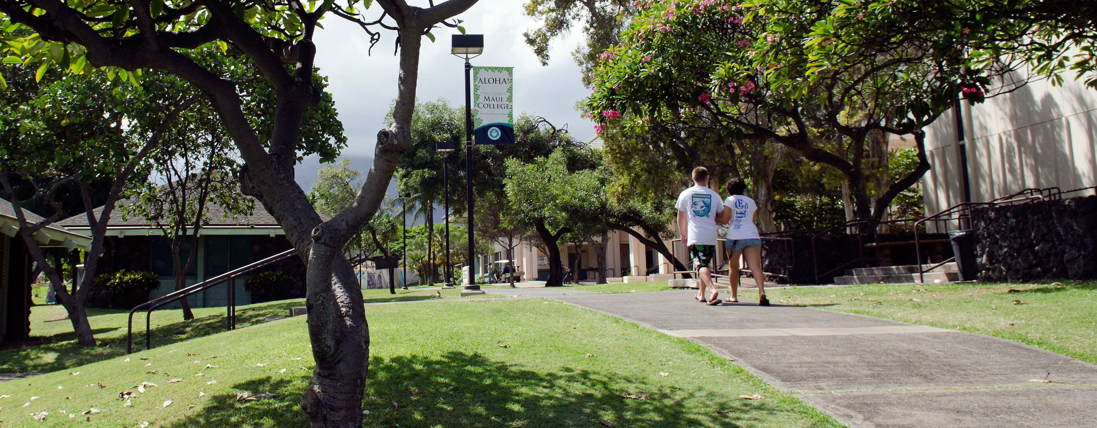 Students walking on a path t Maui Community College