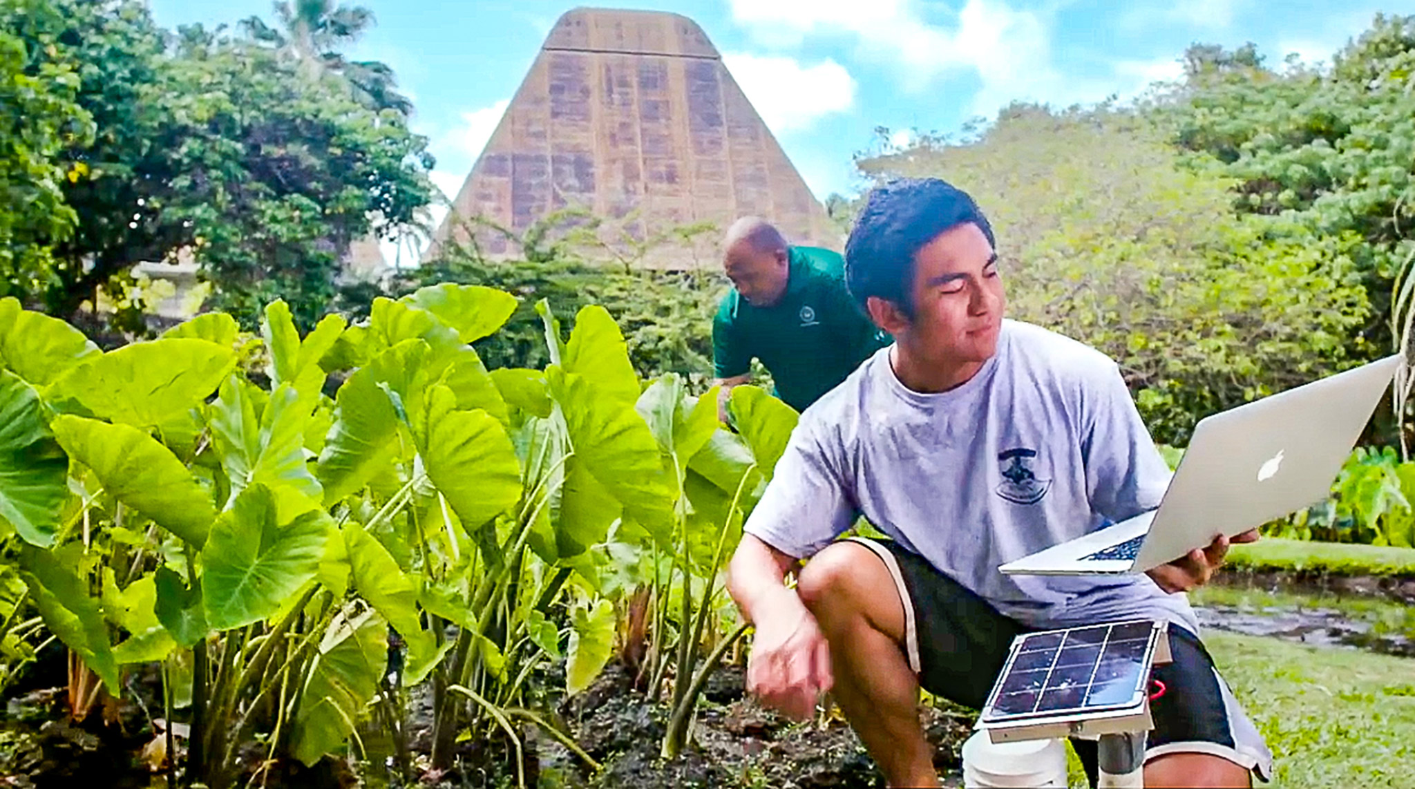 Person looking at computer in front of taro patch, or lo‘i
